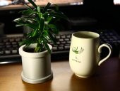 Doraemon Anime Gibi Foliage Bitkileri İçin Earthen Boru-Pot Plastik Aparat - 4