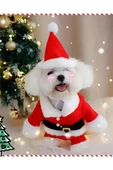Şenlikli Noel Baba Köpek Kostüm Seti – Küçük Irklar İçin Sıcak Polyester Tulum, Kazak Tasarım Evcil Hayvan Kıyafeti-L beden - 2