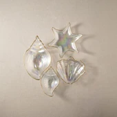 Fecra Deniz 4 Parça Cam Sunum Seti - 3