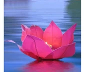 pilelistore Nilüfer Su Çiçeği Su Feneri - 1