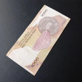 Escoines 3996368f563e675c33 5000Riyal Sürsajlı Haliyle thumbnail 4