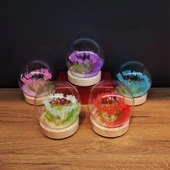 pilelistore Led Işıklı Lale Cam Fanus - 2