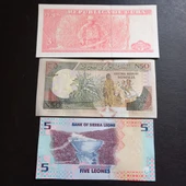 Escoines 3996368f4365331071 3'lü set Çil thumbnail 4