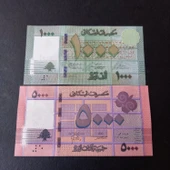 Escoines Koleksiyon 3996368f56c3d5a461 Lübnan 1000 5000 Livres Çil kağıt para thumbnail 1
