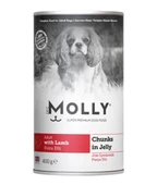 MOLLY - 1