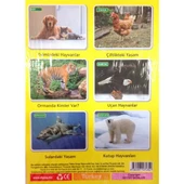 Diytoy İlk 50 Hayvan Flash Cards Hafıza Kartları Orijinal Ürün thumbnail 2