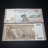 Escoines Koleksiyon 3996368f6359f7bb5d 2019 Suriye 5000 Pound ÇİL kağıt para thumbnail 1