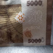 Escoines Koleksiyon 3996368f6359f7bb5d 2019 Suriye 5000 Pound ÇİL kağıt para thumbnail 2