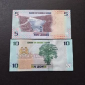 Escoines Koleksiyon 3996368f63b23afa0c 2022 Sierra 5/10 leones takım ÇİL kağıt para thumbnail 2