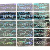 YATE10 1x2cm 105 Adet Gümüş Hologramlı Garanti Etiketi Seri Numaralı - 3