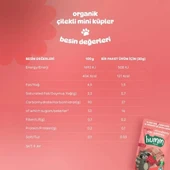 Humm Organik Çilekli Glutensiz Vegan Mini Küpler 30 Gr - 5