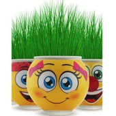 Sevimli Çim Adam Emoji Figürlü Orijinal Lisanslı Oyuncak 1 Adet Toprak ve Tohumlu Eğlenceli Dekoratif Saksı Kafadan Çimlenen Karakter Bitki Oyuncağı - 2