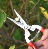 Bitkiler Ve Çiçekler Için Bahçe Budama Makası Üzüm Bağı Dal Fidan Budama Makası - 1