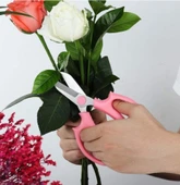 Bahçe Çiçek Makası, Keskin Paslanmaz Çelik Çiçek Makası, Budama Makası Çok Amaçlı Makas PEMBE - 1