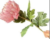 Yapay Çiçek Krizantem Pembe Açık 90cm Tek Dal Kumaş Çiçek Uzun Dal thumbnail 4