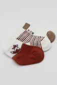NessiWorld 3'Lü Penye Soket Çorap BS10109 Kiremit thumbnail 4