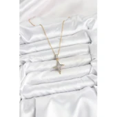 316L Çelik Zincir Gold Renk Kutup Yıldızı Model Zirkon Taşlı Kadın Kolye - 2