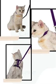 Ayarlanabilir Kedi Boyun ve Göğüs Gezdirme Tasması Renkli thumbnail 3