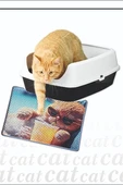 Kedi Kumu Paspası, Delikli Kedi Tuvaleti Paspası, Dijital Baskılı Kedi Paspası thumbnail 1
