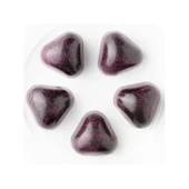 Polikarbon Special Pralin Çikolata Kalıbı 12 gr | Cm-3899 thumbnail 2