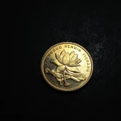 Escoines Koleksiyon 3996368f3d57aee821 2006 Çin 5Jiao ÇİL eski yabancı madeni para thumbnail 5