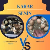 Kamera İlaveli Evonest 120 Yumurtalık Kuluçka Makinesi Otomatik Isı, Nem ve Çevirme Kontrolü - 7