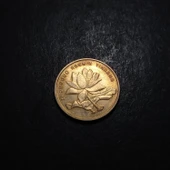 Escoines Koleksiyon 3996368f3cddf62726 2005 Çin 5Jiao ÇA eski yabancı madeni para - 2