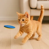 Disk Atan Oyuncak Tabanca - 5