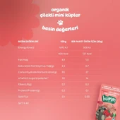 Humm Organik Çilekli Glutensiz Vegan Mini Küpler 30 Gr thumbnail 5