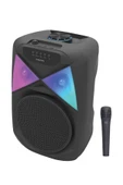 EXENAR Portatif Bluetooth Hoparlör Mikrofonlu Karaoke Seti 20W 8 inç RGB Işıklı TWS Speaker thumbnail 2