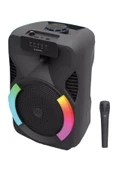 EXENAR Portatif Bluetooth Hoparlör Mikrofonlu Karaoke Seti 20W 8 inç RGB Işıklı TWS Speaker thumbnail 2