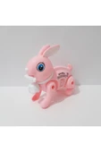 renkli çiçekler 17.5x15 CM Pilli Oyuncak Yürüyen Tavşan Çocuklar İçin Hediye thumbnail 4