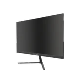 RAYDIN ALISA, 24", 2ms, 75Hz, Full HD, D-Sub, HDMI, Frameless, VA LED Monitör Siyah thumbnail 2