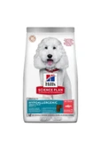 Hill's Hypo-Allergenic Somonlu 2,5 kg Orta Irk Yetişkin Köpek Maması - 1