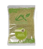 Okaliptüs Yaprağı Öğütülmüş 250 GR - 1