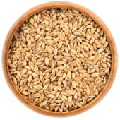 Buğday Kuş Yemi 25 Kg Çuval - 1