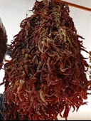 Kuru Biber Kızartmalık Tatlı 20 Li - 1