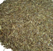 Dereotu Tohumu 250 GR - 1