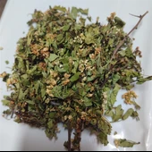 Alıç Yaprağı Çiçekli 2025 Yeni 500 GR - 1