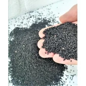 Mor Reyhan Tohumu - 1