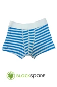 Blackspade Kampanyalı  Erkek Çocuk Çizgili Pamuk Boxer - 4