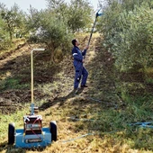 Campagnola Elektra Zeytin Ve Meyve Hasat Makinası - 4