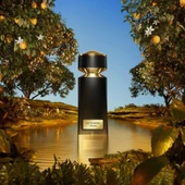 Bvlgari Le Gemme Tygar EDP 125 ml Erkek Parfümü thumbnail 4