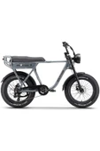Ape Ryder A10 Iki Kişilik Elektrikli Bisiklet - 1