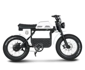 Ape Ryder Gibbon Elektrikli Bisiklet - 4