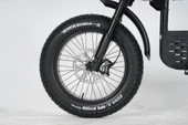 Ape Ryder Gibbon Elektrikli Bisiklet - 10