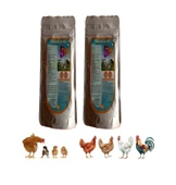 YILSAC E-SEL Kuş ve Kanatlılar İçin Vitamin Takviyesi E+C+Selenyum 100 gr X 2 Adet thumbnail 1