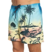 Quiksilver EQYJV03999 Paradise 15 M Jamv Erkek Şort Mayo thumbnail 4