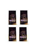 PLUS YÜKSEK ENERJİLİ YÜKSEK PROTEİNLİ KUZULU KÖPEK MAMASI 2KG X 4 ADET thumbnail 1