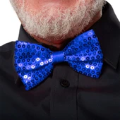 Mavi Payetli Pullu Papyon thumbnail 1